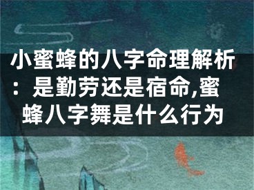 小蜜蜂的八字命理解析：是勤劳还是宿命,蜜蜂八字舞是什么行为