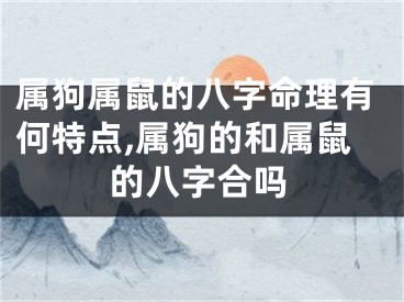 属狗属鼠的八字命理有何特点,属狗的和属鼠的八字合吗