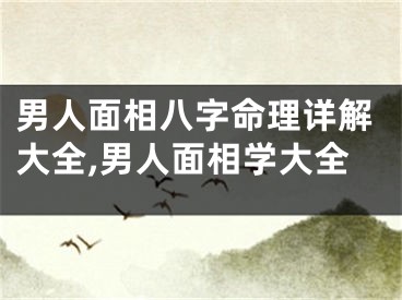 男人面相八字命理详解大全,男人面相学大全