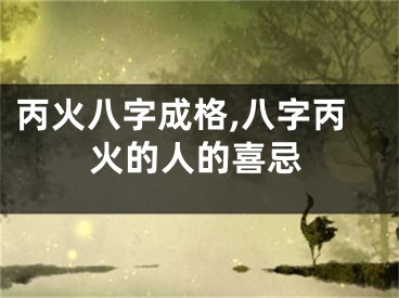 丙火八字成格,八字丙火的人的喜忌