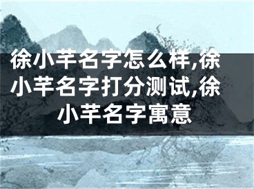 徐小芊名字怎么样,徐小芊名字打分测试,徐小芊名字寓意
