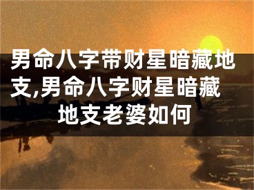 男命八字带财星暗藏地支,男命八字财星暗藏地支老婆如何