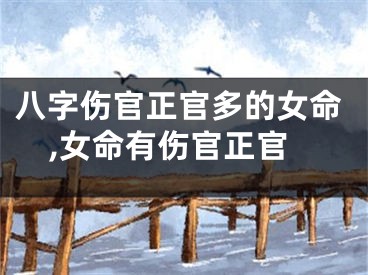 八字伤官正官多的女命,女命有伤官正官