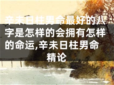 辛未日柱男命最好的八字是怎样的会拥有怎样的命运,辛未日柱男命精论