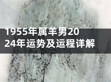 1955年属羊男2024年运势及运程详解