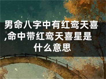 男命八字中有红鸾天喜,命中带红鸾天喜星是什么意思