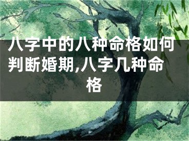 八字中的八种命格如何判断婚期,八字几种命格