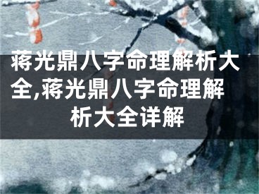 蒋光鼎八字命理解析大全,蒋光鼎八字命理解析大全详解
