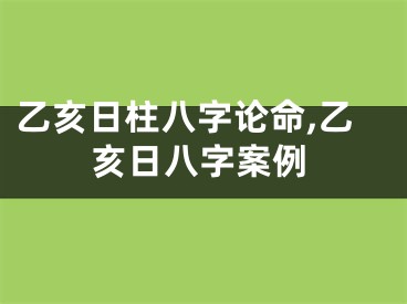 乙亥日柱八字论命,乙亥日八字案例