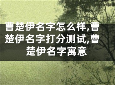 曹楚伊名字怎么样,曹楚伊名字打分测试,曹楚伊名字寓意