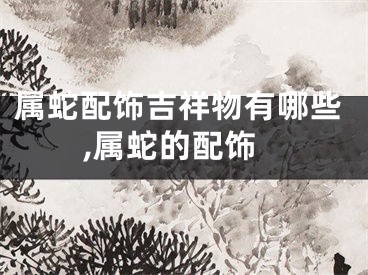 属蛇配饰吉祥物有哪些,属蛇的配饰