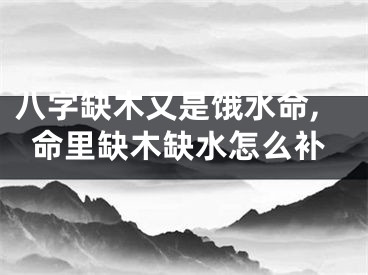 八字缺木又是饿水命,命里缺木缺水怎么补