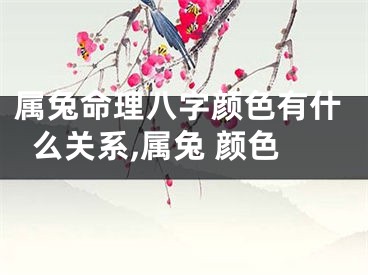 属兔命理八字颜色有什么关系,属兔 颜色