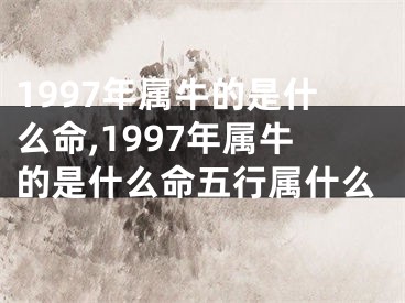 1997年属牛的是什么命,1997年属牛的是什么命五行属什么