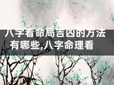 八字看命局吉凶的方法有哪些,八字命理看