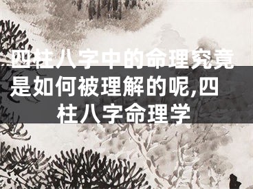 四柱八字中的命理究竟是如何被理解的呢,四柱八字命理学
