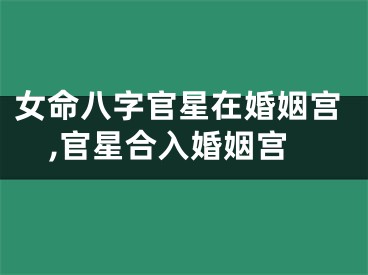女命八字官星在婚姻宫,官星合入婚姻宫