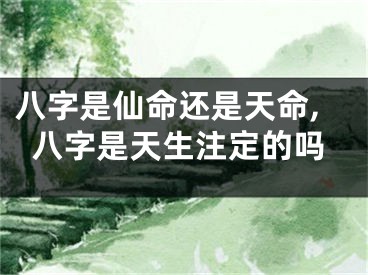 八字是仙命还是天命,八字是天生注定的吗