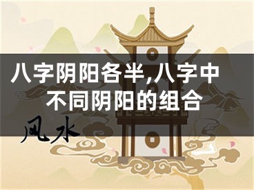 八字阴阳各半,八字中不同阴阳的组合