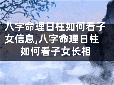 八字命理日柱如何看子女信息,八字命理日柱如何看子女长相