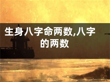 生身八字命两数,八字的两数