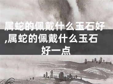属蛇的佩戴什么玉石好,属蛇的佩戴什么玉石好一点