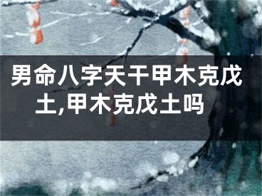 男命八字天干甲木克戊土,甲木克戊土吗