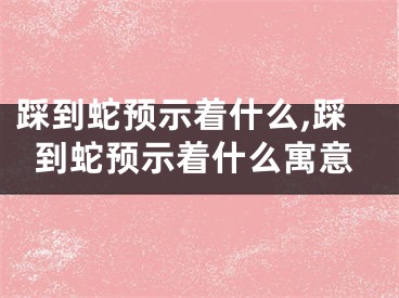 踩到蛇预示着什么,踩到蛇预示着什么寓意