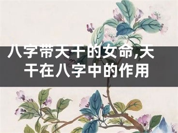 八字带天干的女命,天干在八字中的作用