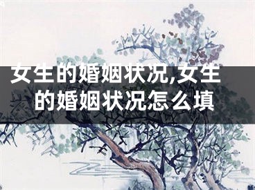女生的婚姻状况,女生的婚姻状况怎么填