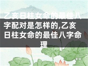 乙亥日柱女命的最佳八字配对是怎样的,乙亥日柱女命的最佳八字命理