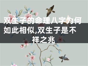 双生子的命理八字为何如此相似,双生子是不祥之兆