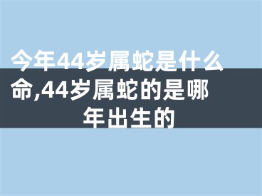 今年44岁属蛇是什么命,44岁属蛇的是哪年出生的