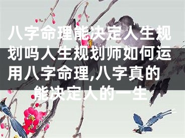 八字命理能决定人生规划吗人生规划师如何运用八字命理,八字真的能决定人的一生