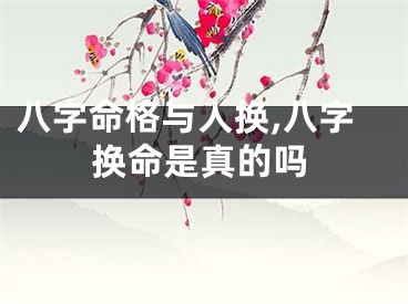 八字命格与人换,八字换命是真的吗