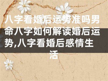 八字看婚后运势准吗男命八字如何解读婚后运势,八字看婚后感情生活