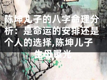 陈坤儿子的八字命理分析：是命运的安排还是个人的选择,陈坤儿子生母曝光