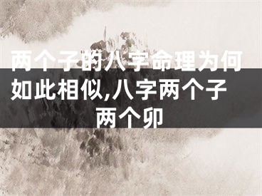 两个子的八字命理为何如此相似,八字两个子两个卯