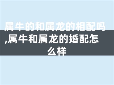 属牛的和属龙的相配吗,属牛和属龙的婚配怎么样