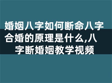 婚姻八字如何断命八字合婚的原理是什么,八字断婚姻教学视频