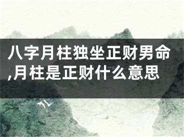 八字月柱独坐正财男命,月柱是正财什么意思