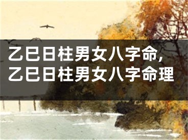 乙巳日柱男女八字命,乙巳日柱男女八字命理