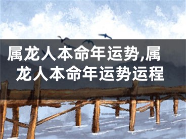 属龙人本命年运势,属龙人本命年运势运程