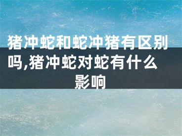 猪冲蛇和蛇冲猪有区别吗,猪冲蛇对蛇有什么影响