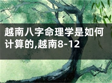 越南八字命理学是如何计算的,越南8-12