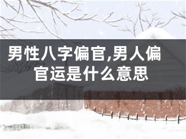 男性八字偏官,男人偏官运是什么意思