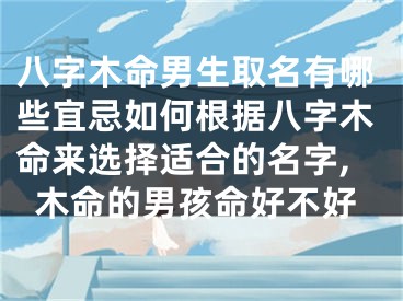 八字木命男生取名有哪些宜忌如何根据八字木命来选择适合的名字,木命的男孩命好不好