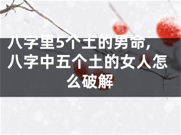 八字里5个土的男命,八字中五个土的女人怎么破解