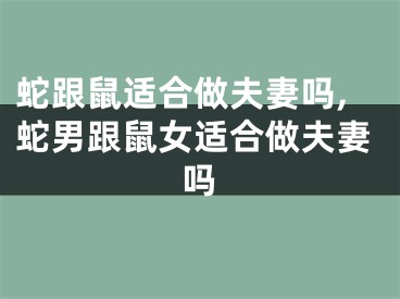蛇跟鼠适合做夫妻吗,蛇男跟鼠女适合做夫妻吗