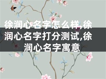 徐润心名字怎么样,徐润心名字打分测试,徐润心名字寓意